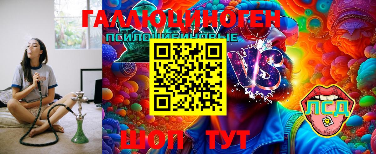 Галлюциногенные грибы MAGIC MUSHROOMS Чернушка